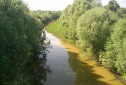 Река Старая Обь