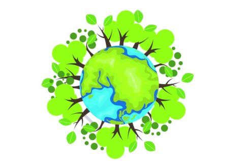 Подведены итоги VII регионального эколого-социального конкурса «Молодежь за здоровый лес!»