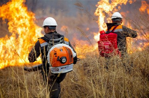 С 20 апреля 2022 года на территории Шегарского района открыт пожароопасный сезон