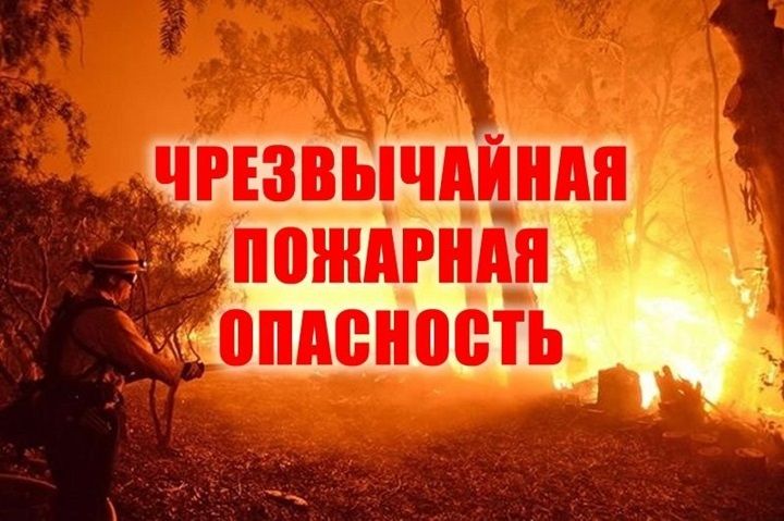 В Шегарском районе ожидается 5 класс пожароопасности